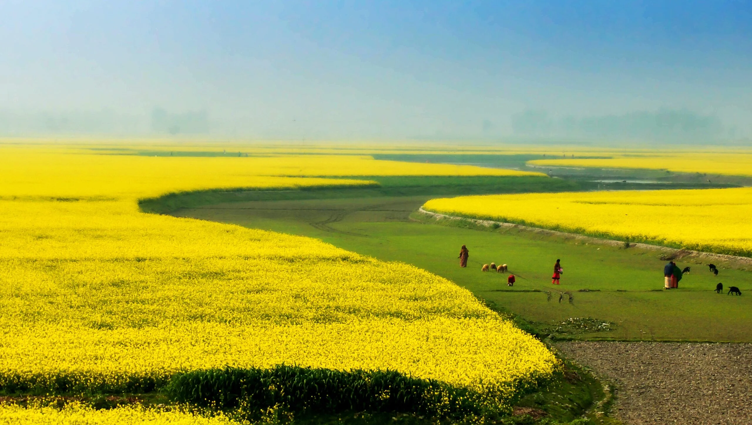 Bangladesh: Explore the Land of Rivers and Culture