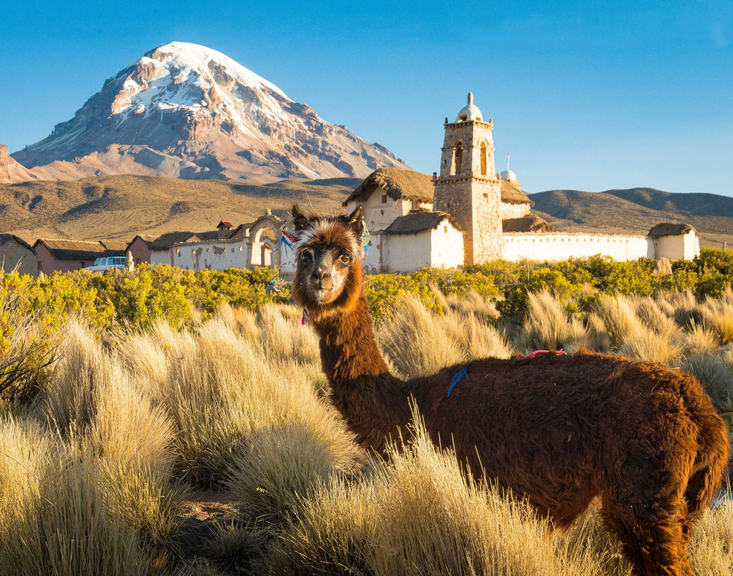 Bolivia: A Journey to the Heart of South America