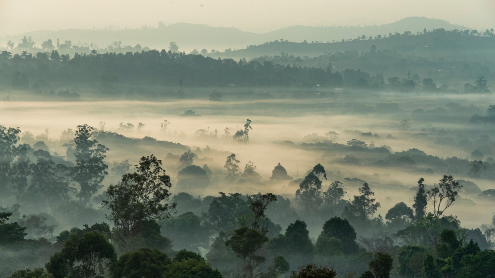 Cameroon: A Central African Gem