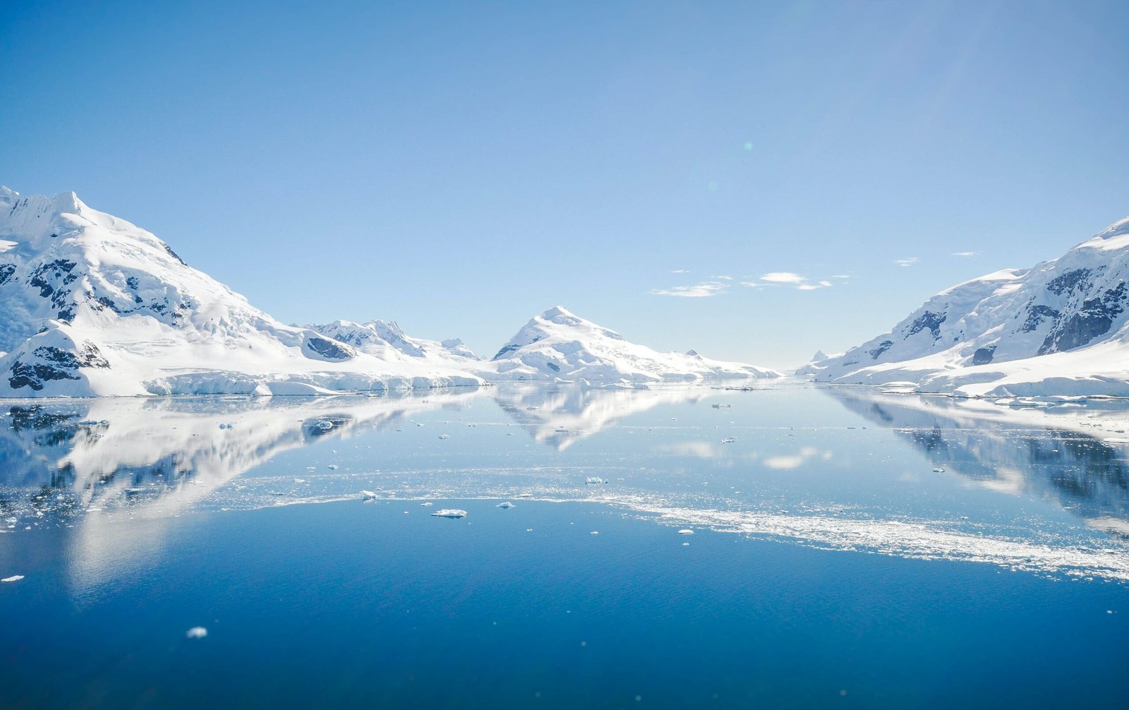 Antarctica Expedition: Discover the Frozen Wilderness