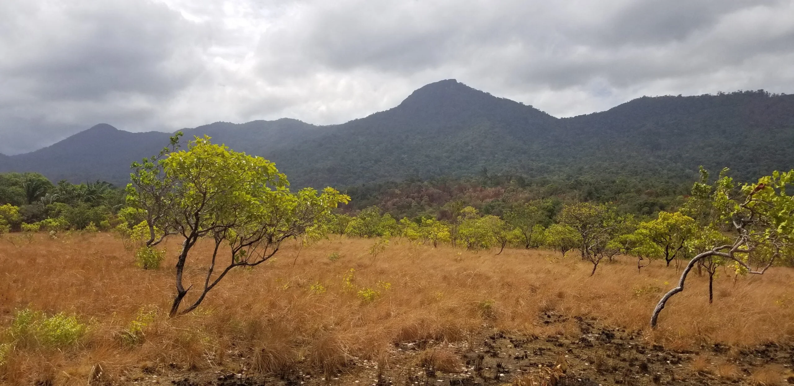 Exploring Guyana's Breathtaking Rainforests and Majestic Rivers