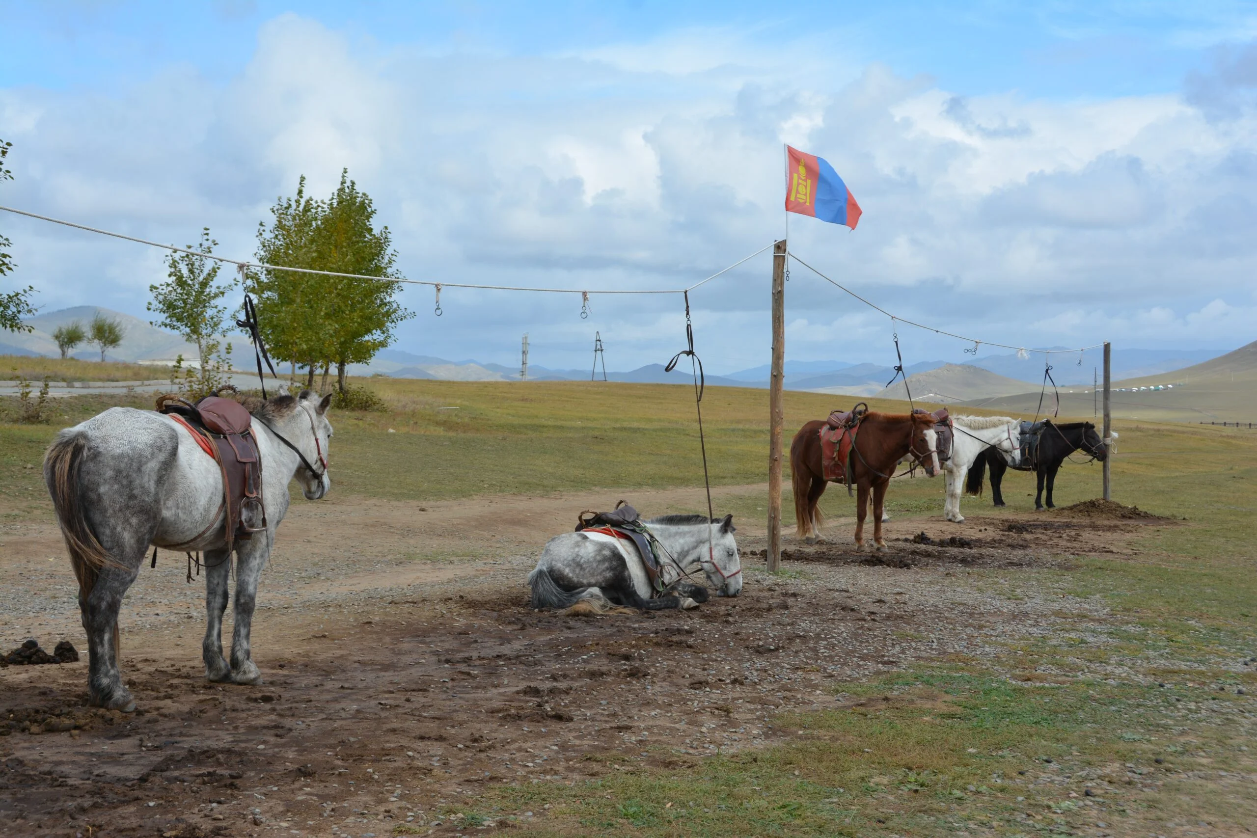 Discover the Mystical Beauty of the Mongolian Steppes and Embrace Nomadic Traditions