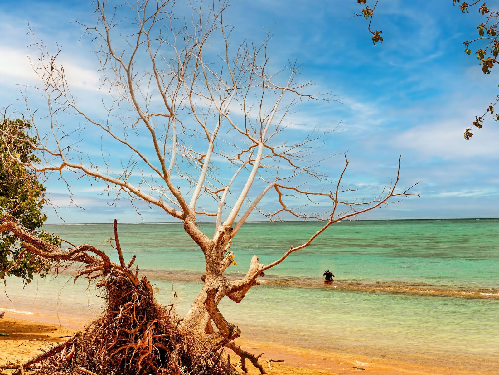 Samoa | Explore The Beautiful Polynesian Culture and Natural Beauty