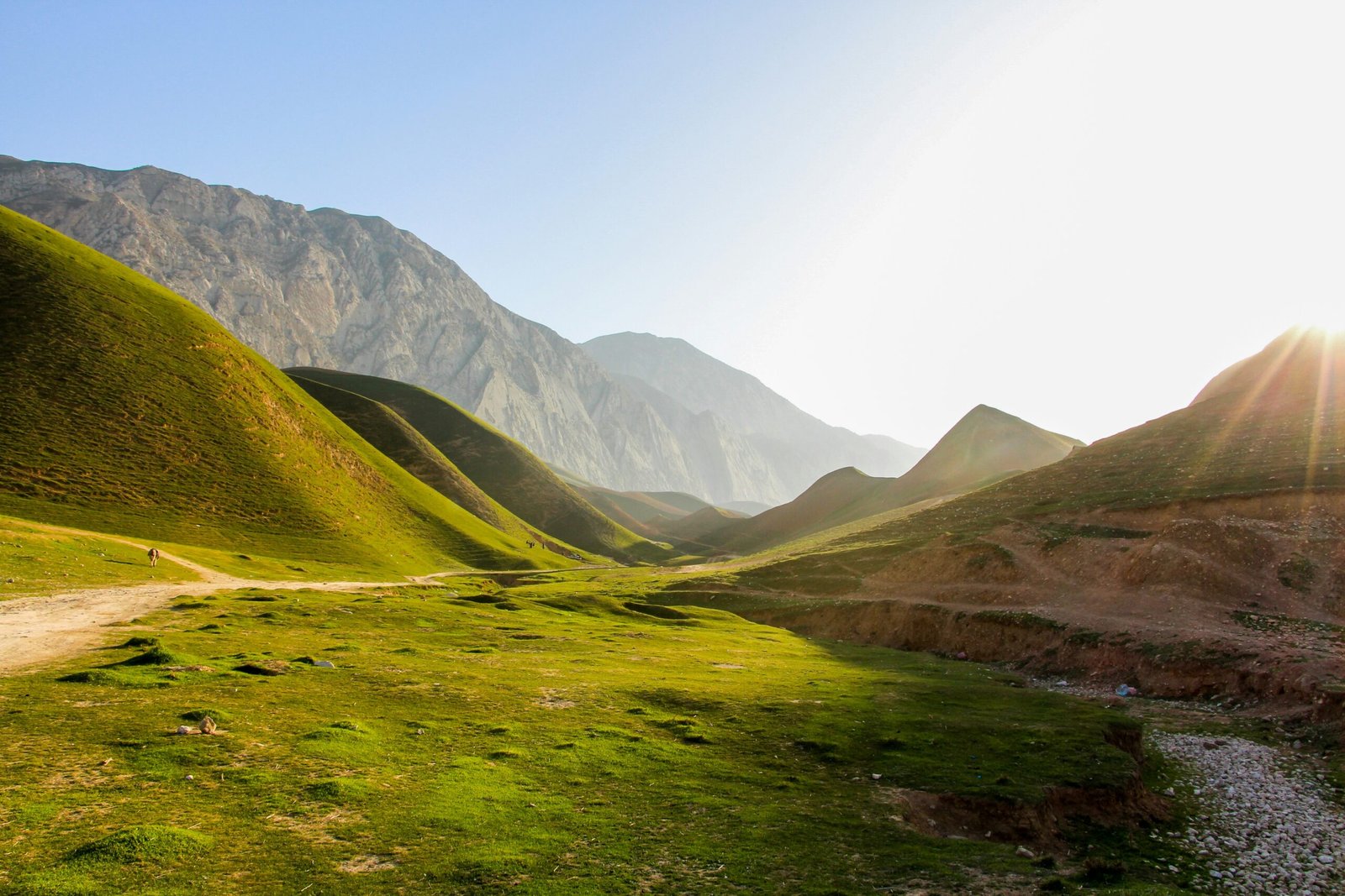 Unveiling the Charm of Balkh: Afghanistan's Hidden Gem